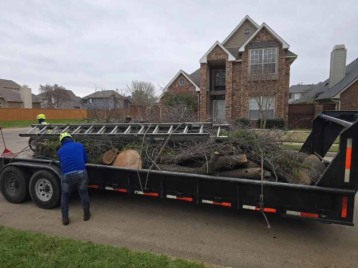 Expert Tree Pest Control with proper safety equipment in Santa Ynez